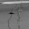 Dymchurch Beach Photo Dymchurch Beach British Beaches